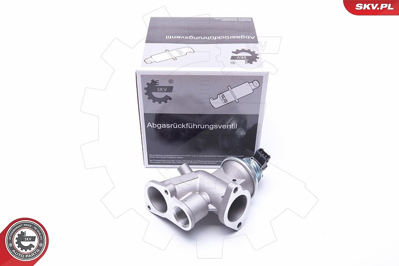Esen Skv AGR-Ventil [Hersteller-Nr. 14SKV181] für Vauxhall, Opel