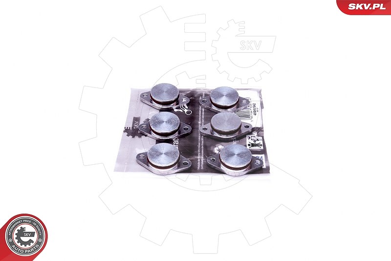 Esen Skv Reparatursatz, Saugrohrmodul [Hersteller-Nr. 49SKV542] für BMW