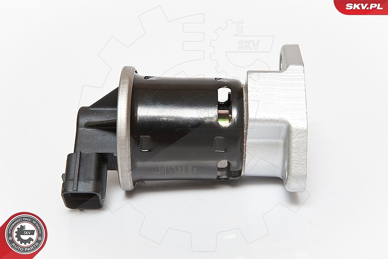 Esen Skv AGR-Ventil [Hersteller-Nr. 14SKV070] für Chevrolet, Daewoo