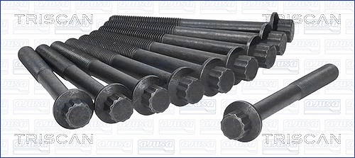 Triscan Zylinderkopfschraubensatz [Hersteller-Nr. 98-4000] für Suzuki, Ford, Kia, Asia Motors, Mazda