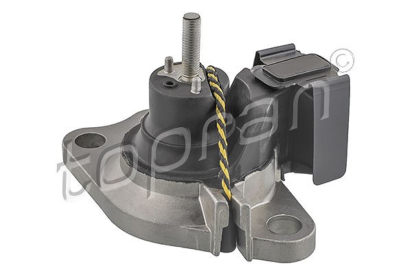 Topran Lagerung, Hilfsrahmen/Aggregateträger [Hersteller-Nr. 700529] für Nissan, Renault