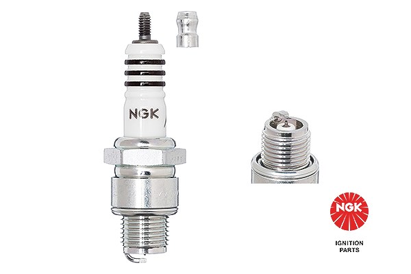 Ngk Zündkerze [Hersteller-Nr. 7067] für Volvo, Fiat, BMW, Alpine, Mercedes-Benz, Borgward, VW, Citroën, Barkas, Renault, Porsche, Skoda, Aro, Trabant,