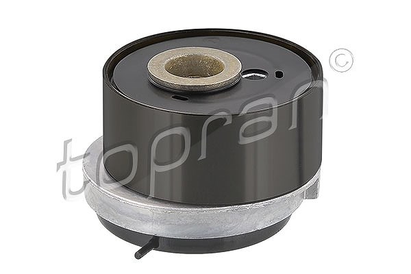 Topran Spannrolle, Zahnriemen [Hersteller-Nr. 207975] für Alfa Romeo, Vauxhall, Opel, Chevrolet, Fiat