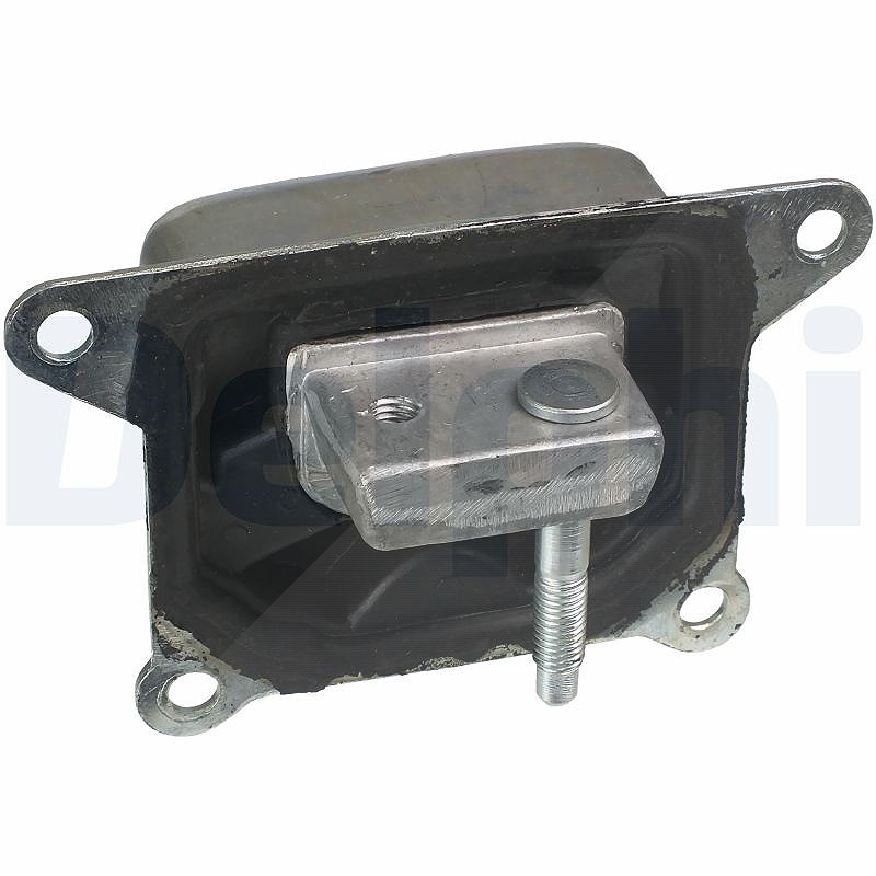 Delphi Lagerung, Motor [Hersteller-Nr. TEM053] für Vauxhall, Opel