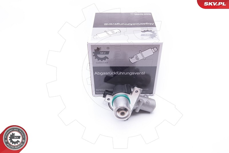 Esen Skv AGR-Ventil [Hersteller-Nr. 14SKV163] für Suzuki, Nissan, Dacia, Renault