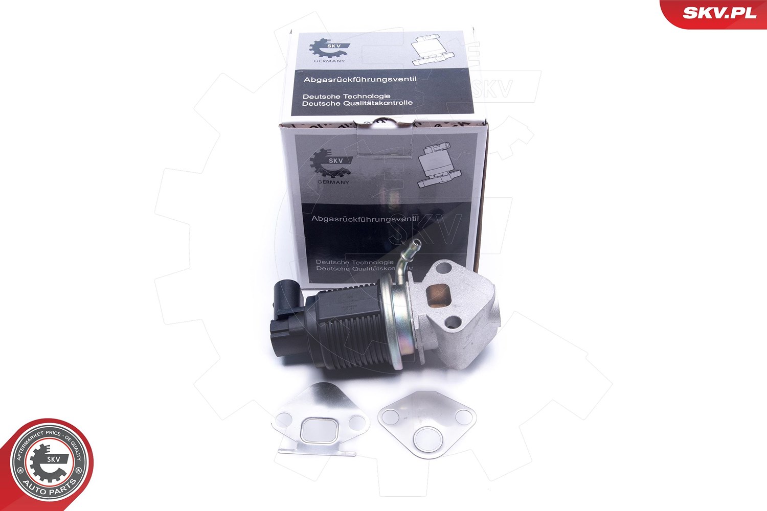 Esen Skv AGR-Ventil [Hersteller-Nr. 14SKV008] für VW, Audi, Seat, Skoda