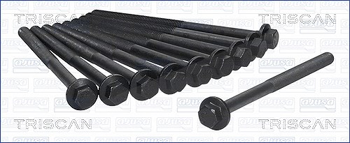 Triscan Zylinderkopfschraubensatz [Hersteller-Nr. 98-5019] für Opel, Vauxhall, Saab, Fiat, Fisker, Cadillac, Pontiac, Alfa Romeo, Polaris, Chevrolet,