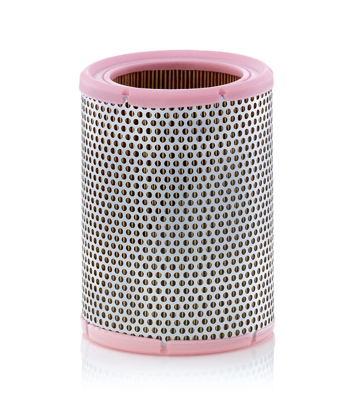 Mann-filter Luftfilter [Hersteller-Nr. C1362] für Lotus, Volvo, Dacia, Aro, Renault, Aston Martin