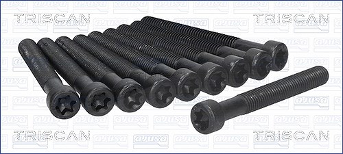 Triscan Zylinderkopfschraubensatz [Hersteller-Nr. 98-2605] für Marcos, Donkervoort, Ford, Ford Otosan