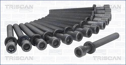 Triscan Zylinderkopfschraubensatz [Hersteller-Nr. 98-8504] für VW, Volvo