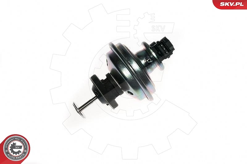 Esen Skv AGR-Ventil [Hersteller-Nr. 14SKV078] für BMW, Mini