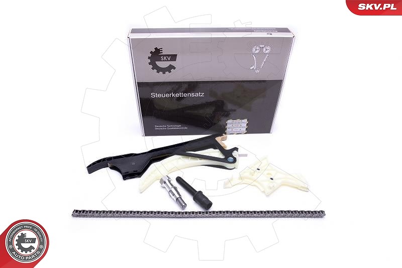 Esen Skv Steuerkettensatz [Hersteller-Nr. 21SKV131] für BMW