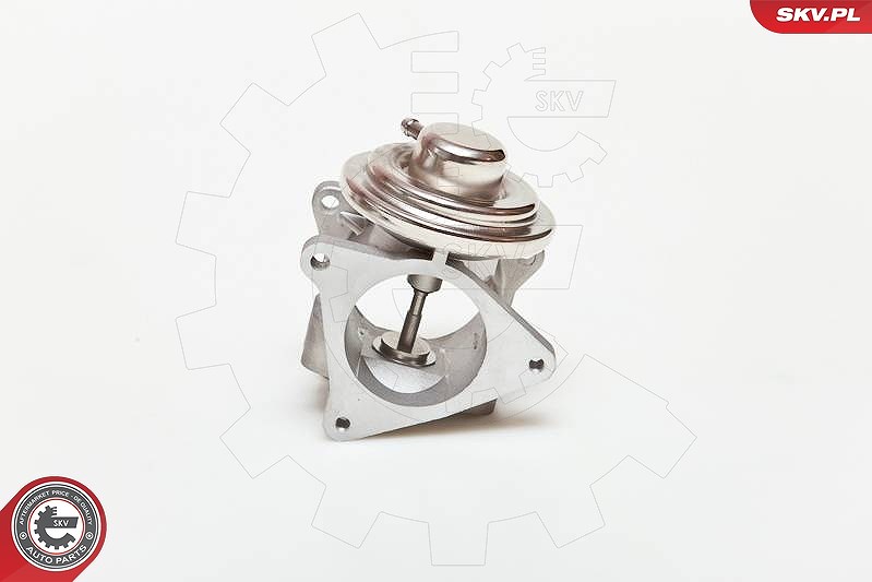 Esen Skv AGR-Ventil [Hersteller-Nr. 14SKV019] für Skoda, Jeep, Seat, VW, Chrysler, Mitsubishi, Audi, Dodge