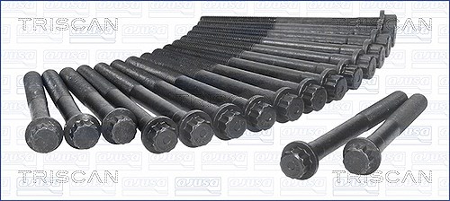 Triscan Zylinderkopfschraubensatz [Hersteller-Nr. 98-7503] für VW, Toyota, Metrocab