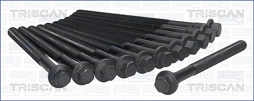 Triscan Zylinderkopfschraubensatz [Hersteller-Nr. 98-8007] für Renault, Volvo