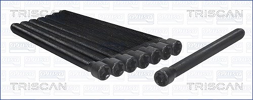 Triscan Zylinderkopfschraubensatz [Hersteller-Nr. 98-8540] für VW, Audi, Skoda