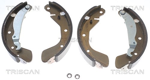 Triscan Bremsbackensatz Trommelbremse Hinterachse [Hersteller-Nr. 810024539] für Opel, Vauxhall, Chevrolet