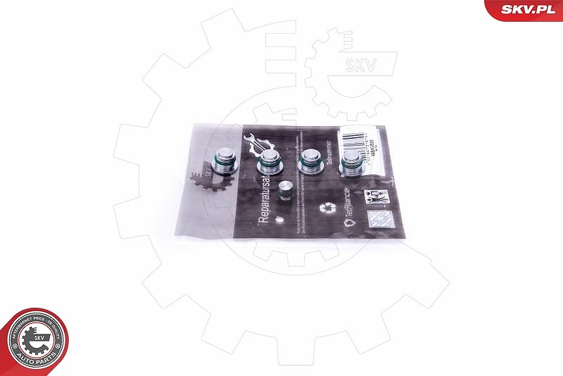Esen Skv Reparatursatz, Saugrohrmodul [Hersteller-Nr. 49SKV530] für Vauxhall, Opel, Saab, Alfa Romeo, Fiat