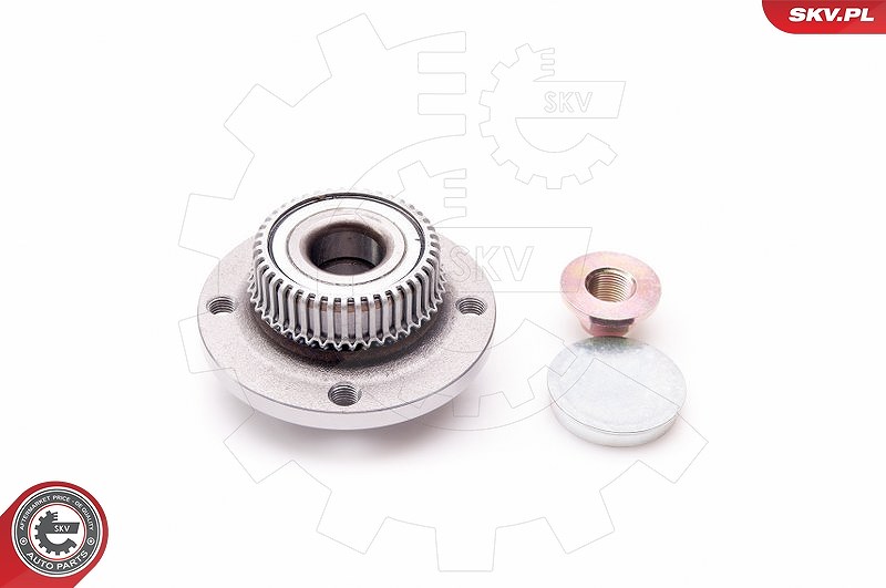 Esen Skv Radlagersatz [Hersteller-Nr. 29SKV012] für Seat, VW