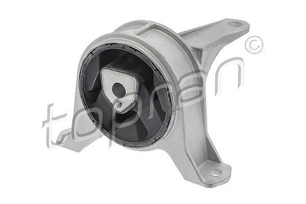 Topran Lagerung, Motor [Hersteller-Nr. 206563] für Vauxhall, Opel