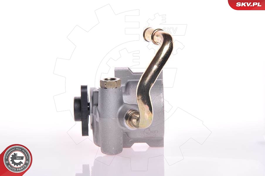 Esen Skv Hydraulikpumpe, Lenkung [Hersteller-Nr. 10SKV149] für Vauxhall, Opel