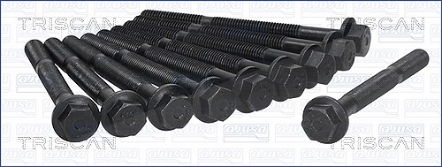 Triscan Zylinderkopfschraubensatz [Hersteller-Nr. 98-2500] für Tata, Chrysler, Lancia, Fiat, Autobianchi, Yugo, Zastava, Alfa Romeo, Ford