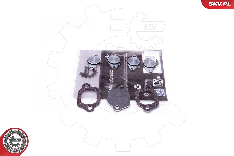 Esen Skv Reparatursatz, Saugrohrmodul [Hersteller-Nr. 49SKV529] für Vauxhall, Fiat, Opel, Saab, Jeep, Alfa Romeo