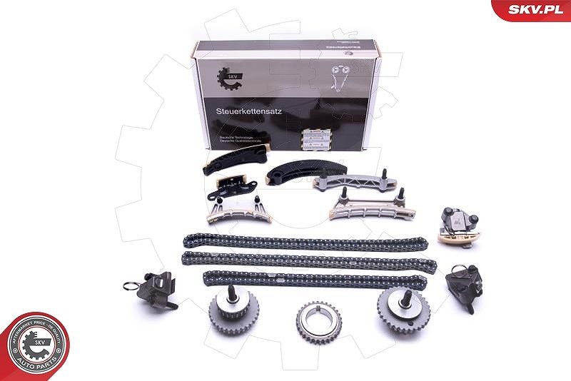 Esen Skv Steuerkettensatz [Hersteller-Nr. 21SKV175] für Cadillac, Opel, Vauxhall, Saab