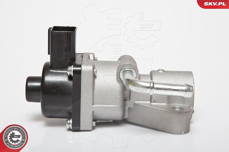 Esen Skv AGR-Ventil [Hersteller-Nr. 14SKV047] für Volvo, Ford, Mazda