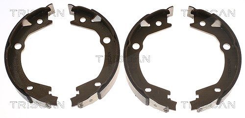 Triscan Bremsbackensatz, Feststellbremse [Hersteller-Nr. 810043020] für Ssangyong, Hyundai, Kia