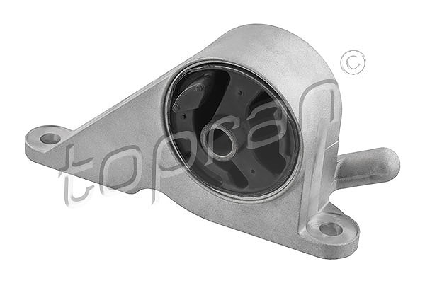 Topran Lagerung, Motor [Hersteller-Nr. 208392] für Vauxhall, Opel