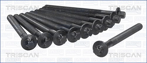 Triscan Zylinderkopfschraubensatz [Hersteller-Nr. 98-6013] für Suzuki, Nissan, Renault, Dacia, Infiniti, Mercedes-Benz
