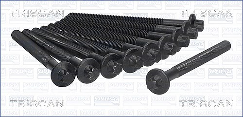 Triscan Zylinderkopfschraubensatz [Hersteller-Nr. 98-6012] für Lada, Renault, Nissan, Dacia