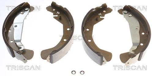 Triscan Bremsbackensatz Trommelbremse Hinterachse [Hersteller-Nr. 810024589] für Chevrolet, Vauxhall, Opel