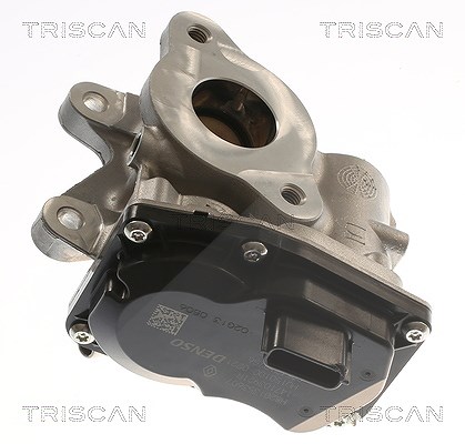 Triscan AGR-Ventil [Hersteller-Nr. 881310116] für Nissan, Vauxhall, Renault, Opel, Mercedes-Benz