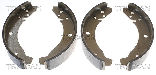 Triscan Bremsbacken für Trommelbremse Hinterachse [Hersteller-Nr. 810029104] für Porsche, VW