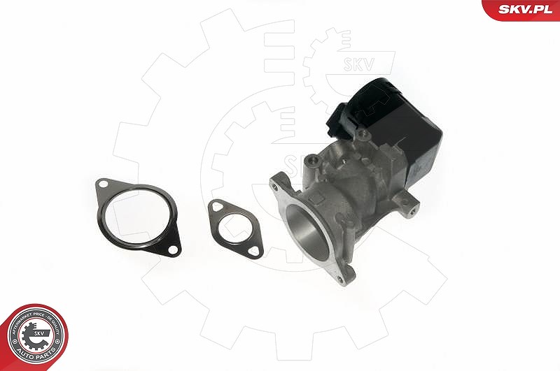 Esen Skv AGR-Ventil [Hersteller-Nr. 14SKV057] für Peugeot, Volvo, Lancia, Citroën, Alfa Romeo, Ford, Fiat