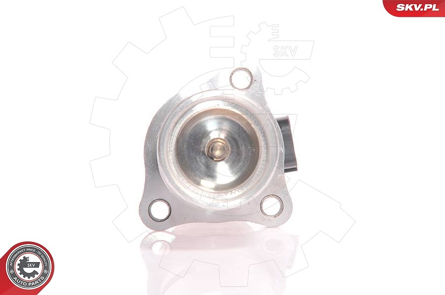 Esen Skv AGR-Ventil [Hersteller-Nr. 14SKV010] für Nissan, Mitsubishi, Opel, Volvo, Renault, Vauxhall, Dacia
