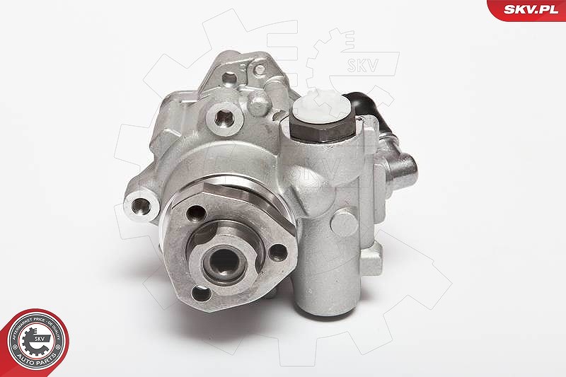 Esen Skv Hydraulikpumpe, Lenkung [Hersteller-Nr. 10SKV018] für Audi, Seat, Ford, VW