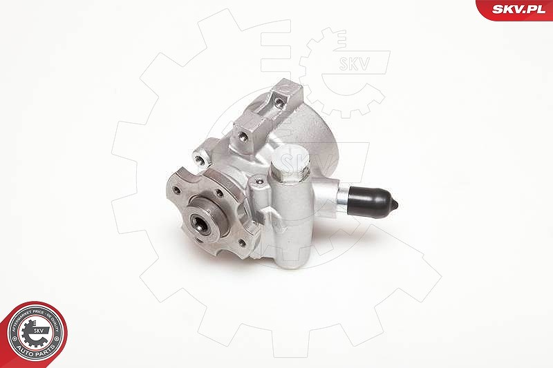 Esen Skv Hydraulikpumpe, Lenkung [Hersteller-Nr. 10SKV178] für Citroën, Peugeot, Fiat