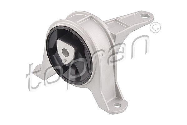 Topran Lagerung, Motor [Hersteller-Nr. 206163] für Vauxhall, Opel