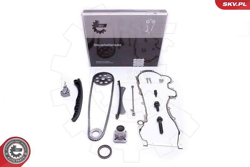 Esen Skv Steuerkettensatz [Hersteller-Nr. 21SKV220] für Lancia, Fiat, Chevrolet, Alfa Romeo, Opel, Suzuki, Citroën, Peugeot, Vauxhall, Chrysler, Ford