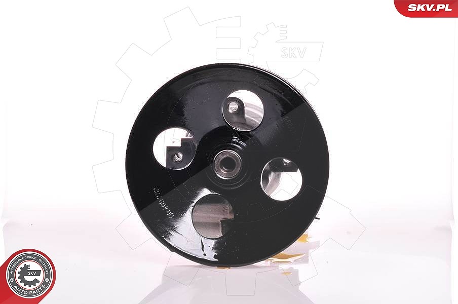 Esen Skv Hydraulikpumpe, Lenkung [Hersteller-Nr. 10SKV164] für Opel, Vauxhall