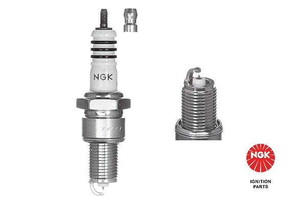 Ngk Zündkerze [Hersteller-Nr. 6597] für Jaguar, Renault, Nissan, Daimler, Toyota, Peugeot, Mg, Mazda, Triumph, Isuzu, Dacia, Daihatsu, Chevrolet, Kia,