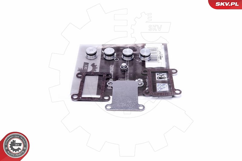 Esen Skv Reparatursatz, Saugrohrmodul [Hersteller-Nr. 49SKV527] für Saab, Vauxhall, Fiat, Opel, Alfa Romeo
