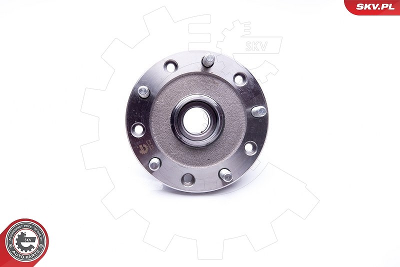 Esen Skv Radlagersatz [Hersteller-Nr. 29SKV178] für Ford, Jeep