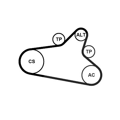 Continental Ctam Keilrippenriemensatz [Hersteller-Nr. 6PK1020EXTRAK1] für Ds, Peugeot, Citroën