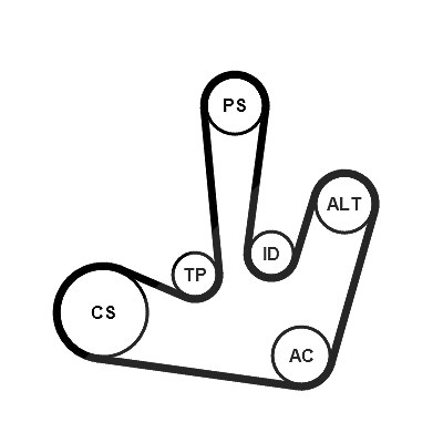 Continental Ctam Keilrippenriemensatz [Hersteller-Nr. 6PK1795K1] für Vauxhall, Mitsubishi, Opel, Nissan, Renault