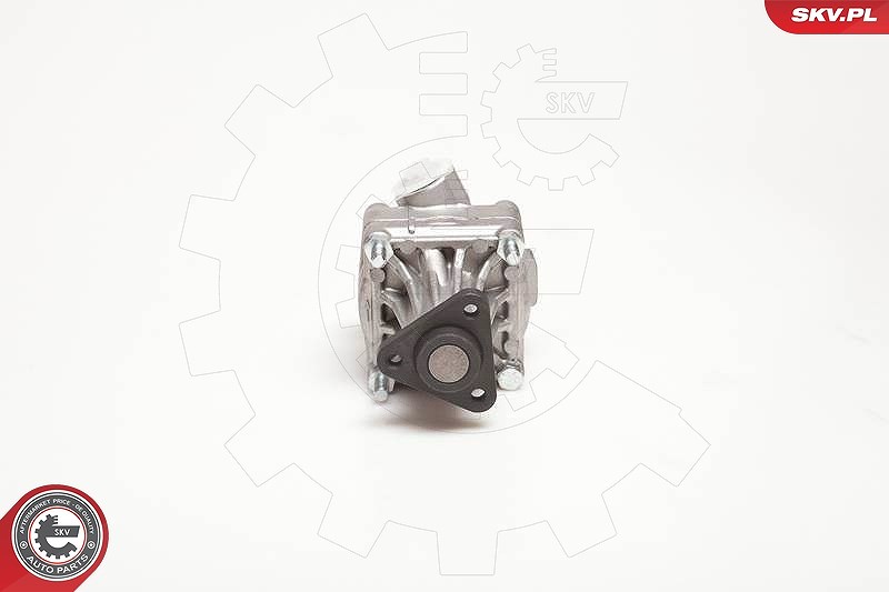 Esen Skv Hydraulikpumpe, Lenkung [Hersteller-Nr. 10SKV005] für VW, Audi