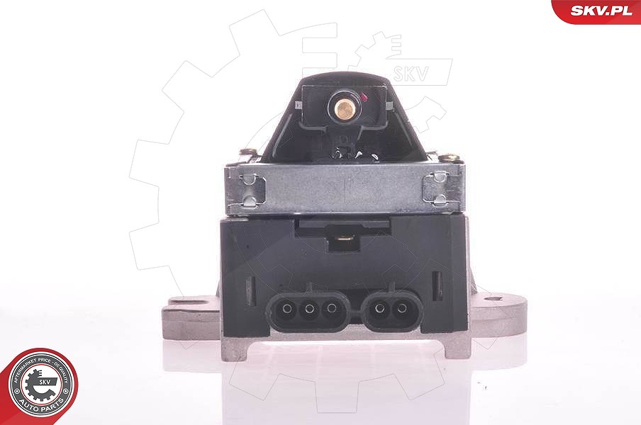 Esen Skv Zündspule [Hersteller-Nr. 03SKV189] für Volvo, Peugeot, Renault